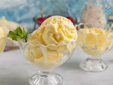 Ninja Creami Custard Recipe