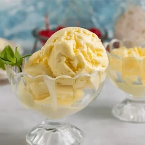 Ninja Creami Custard Recipe